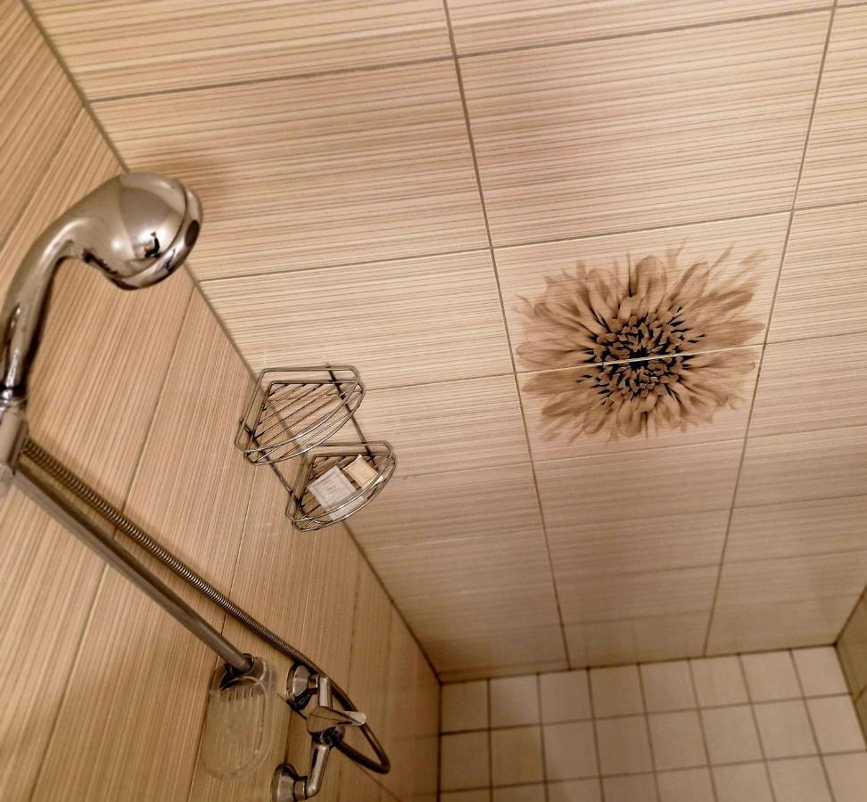 Linos Apartamentai Druskininkai Extérieur photo